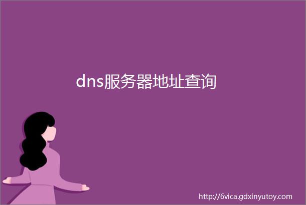 dns服务器地址查询
